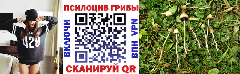 магазин продажи   Братск  Псилоцибиновые грибы мицелий 